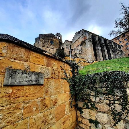 Apartamento rústico en el Camino De Santiago Estella Exterior foto