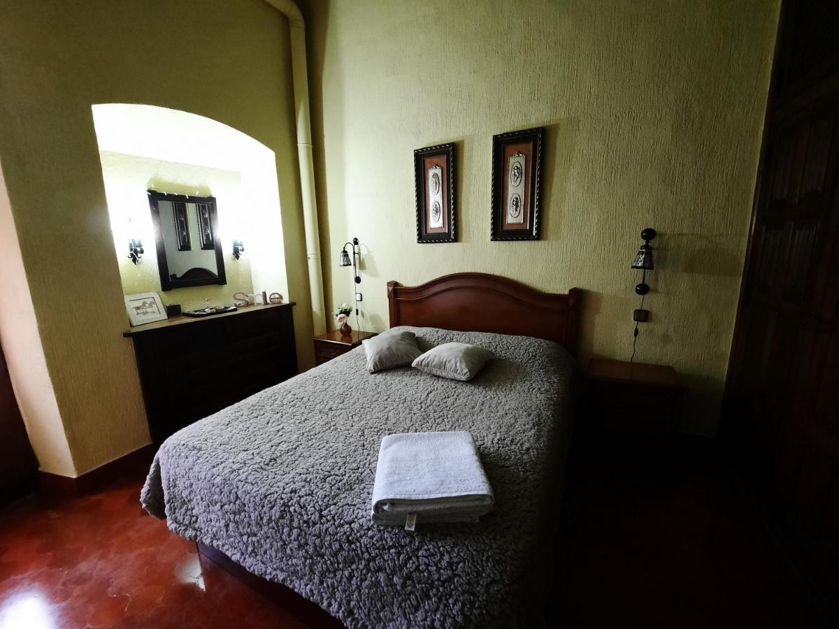 Apartamento rústico en el Camino De Santiago Estella Exterior foto